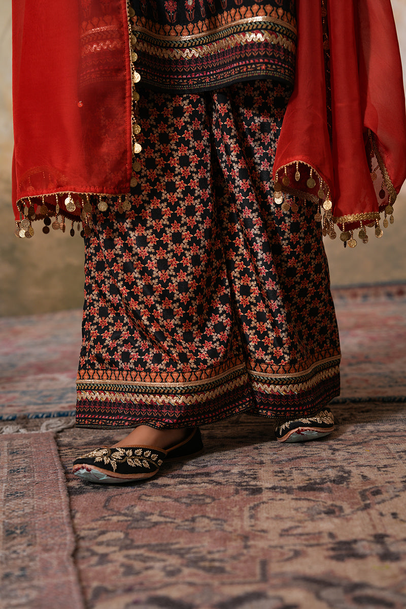 Siyah Sitara Dupatta