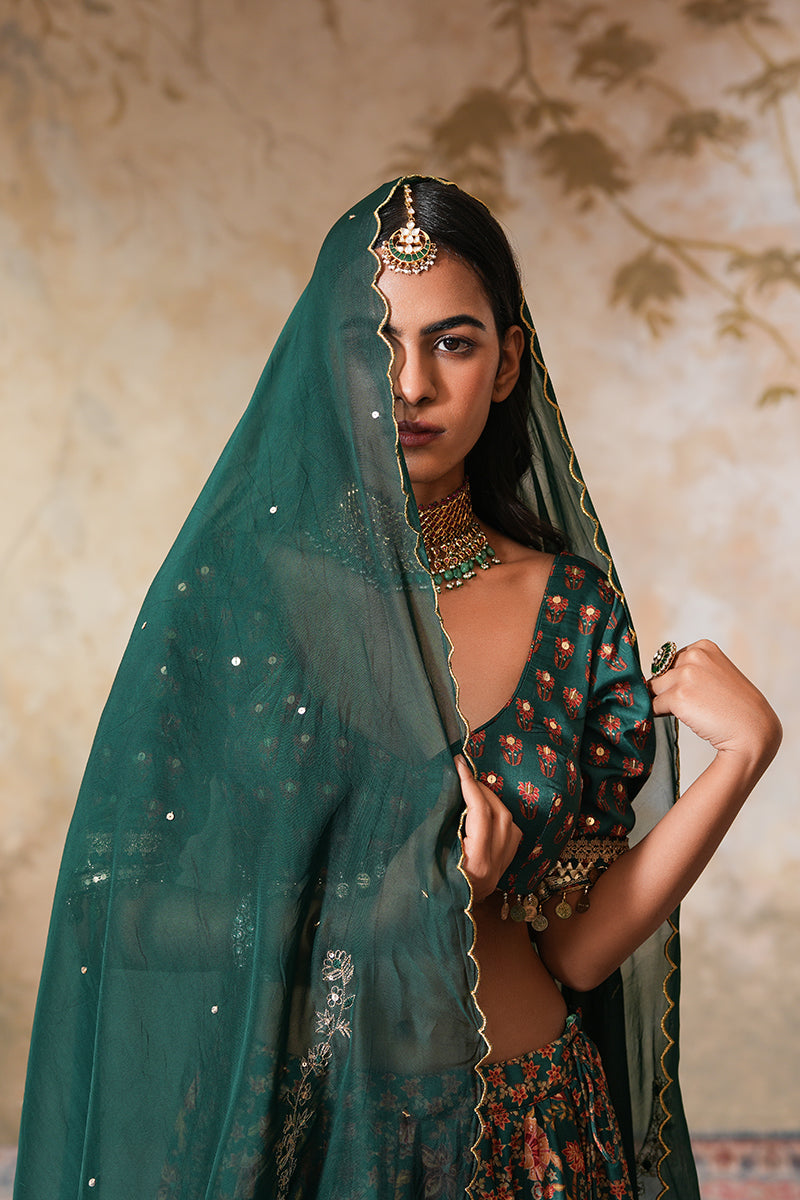 Mayuri Heer Lehenga Set With Dupatta