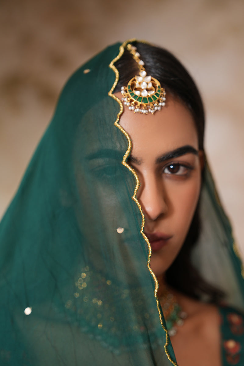 Mayuri Heer Dupatta