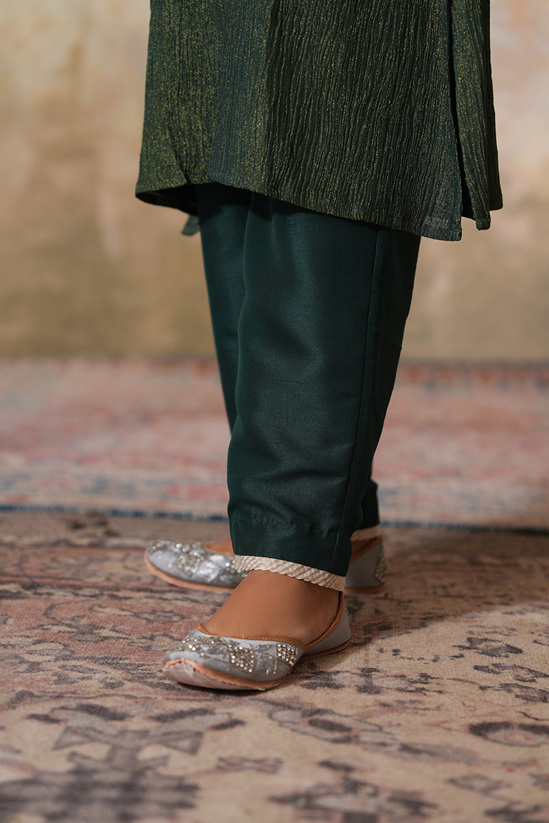 Bagh Tissue Silk Set