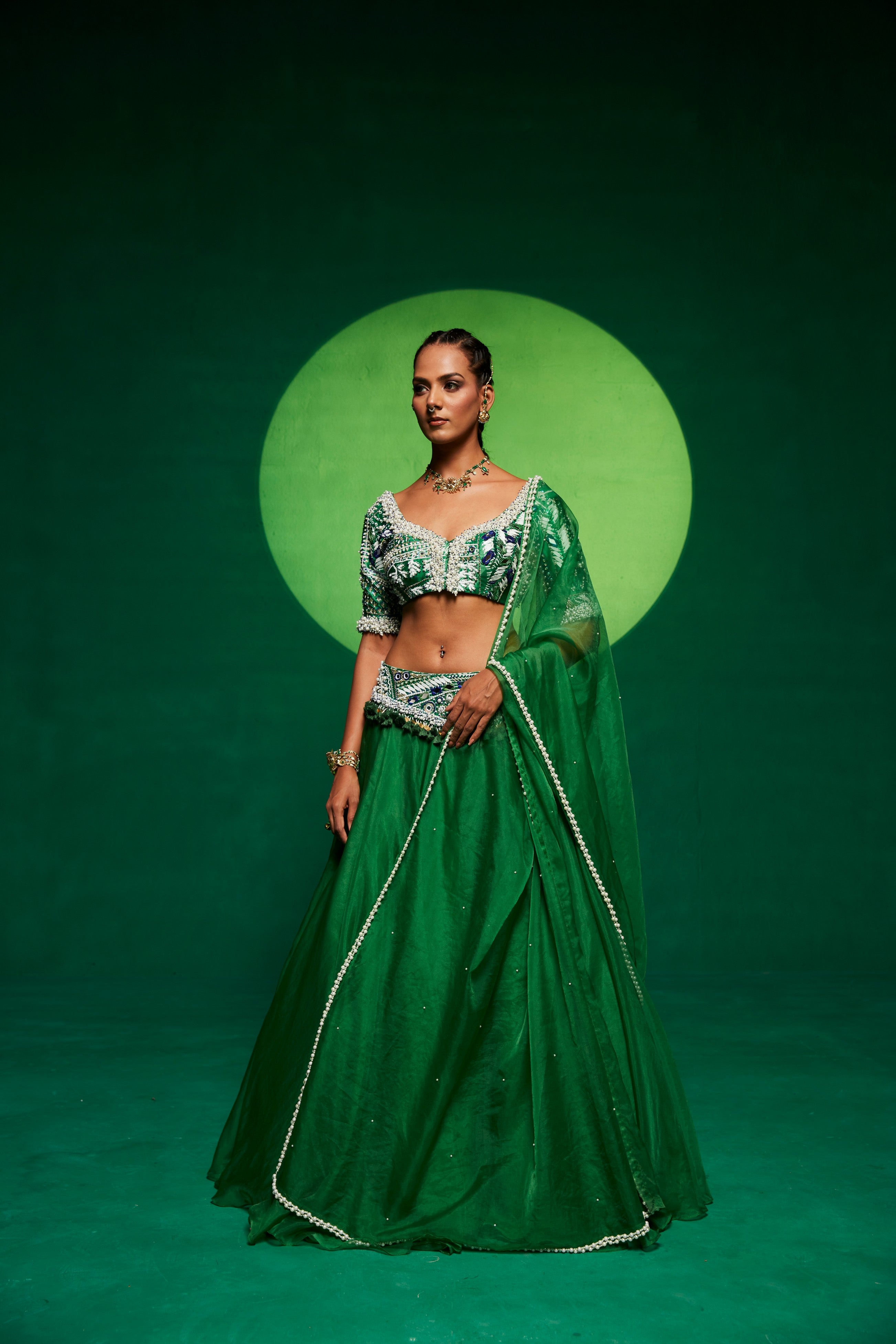 Green embellished lehenga