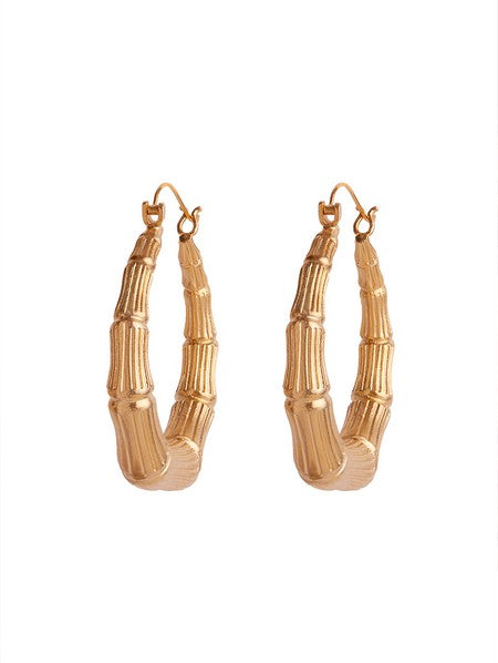 Abha Hoops