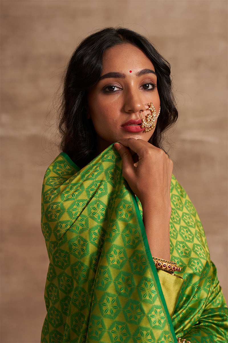 Geometrical Self Jaal Pure Silk saree