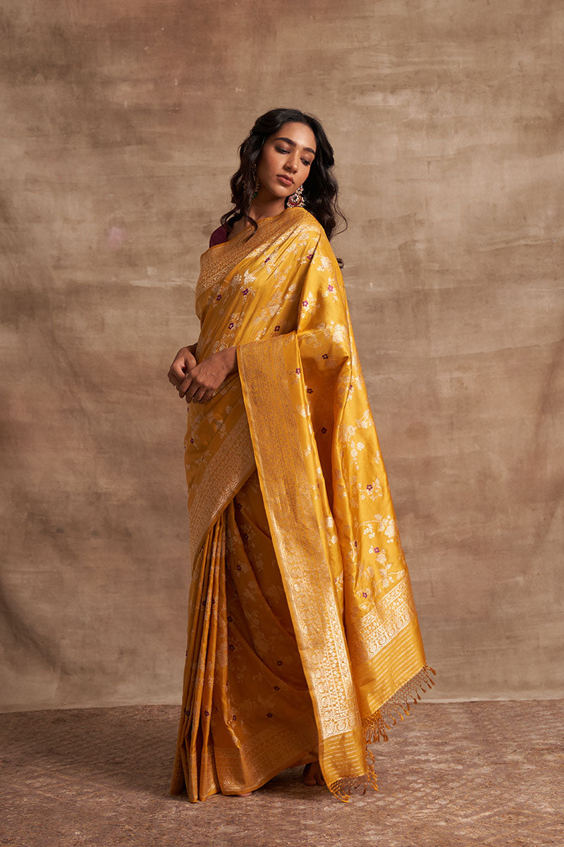 Pitambari Jangla Zari Pure Silk saree