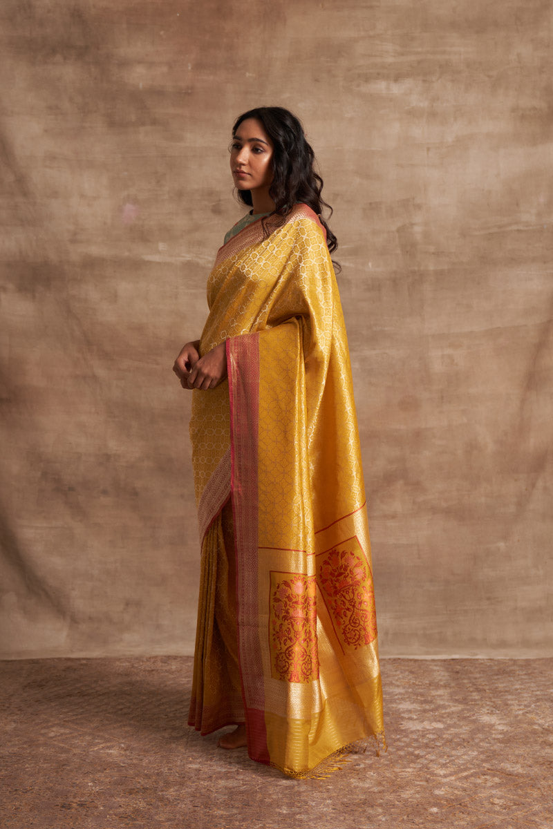 Pitambari Geometric Zari Pure Silk saree