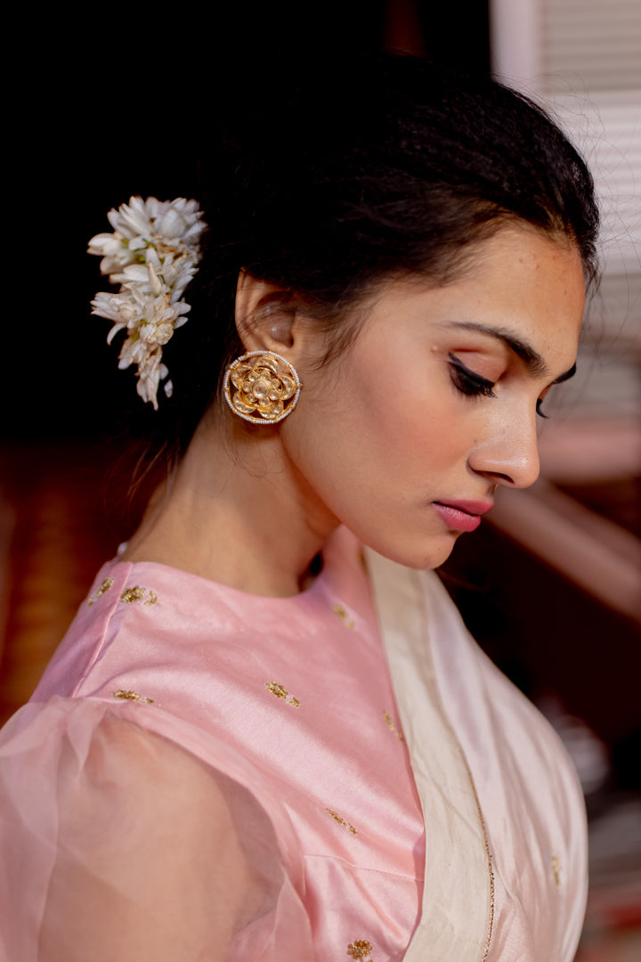 silk saree and blouse