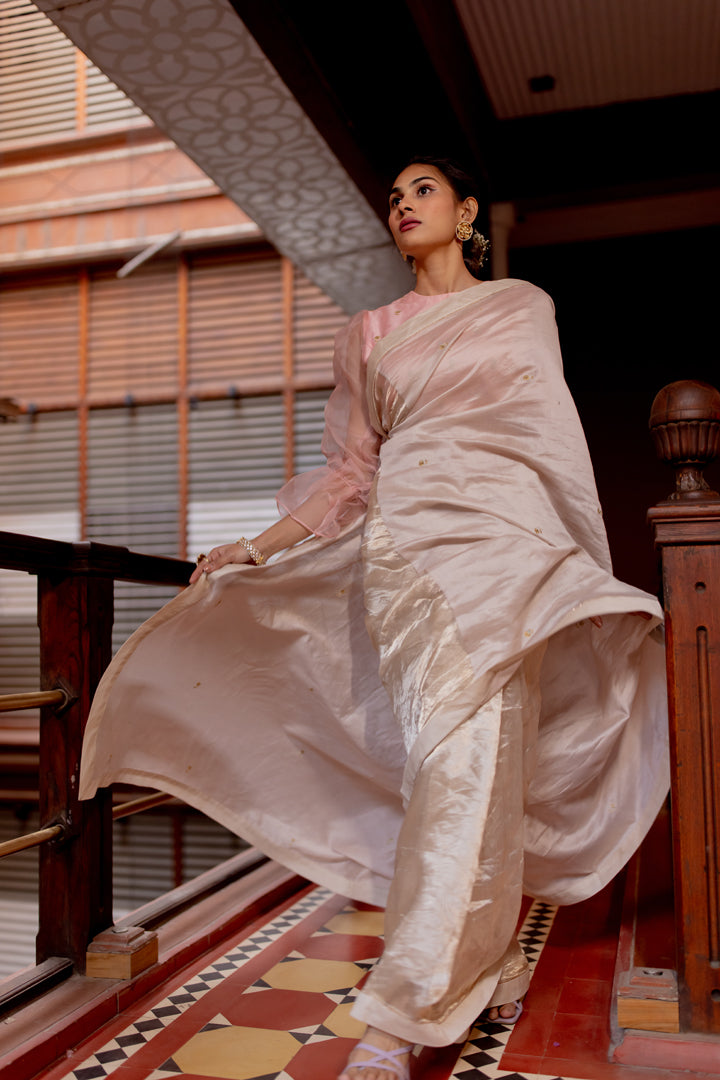silk saree and blouse