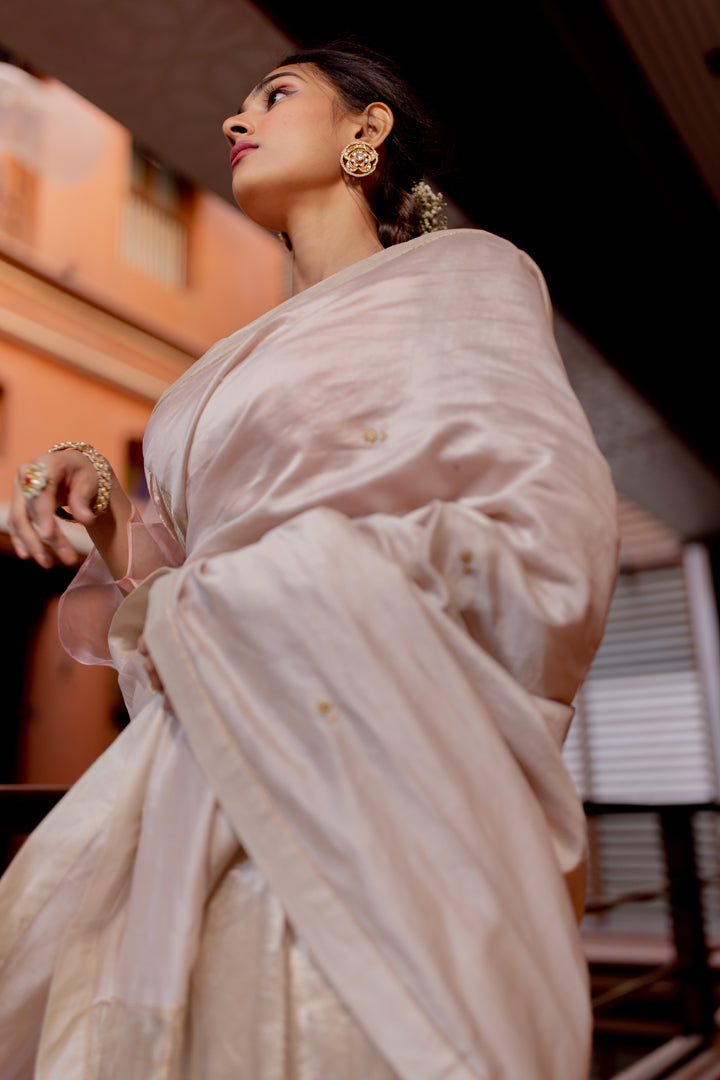 silk saree and blouse