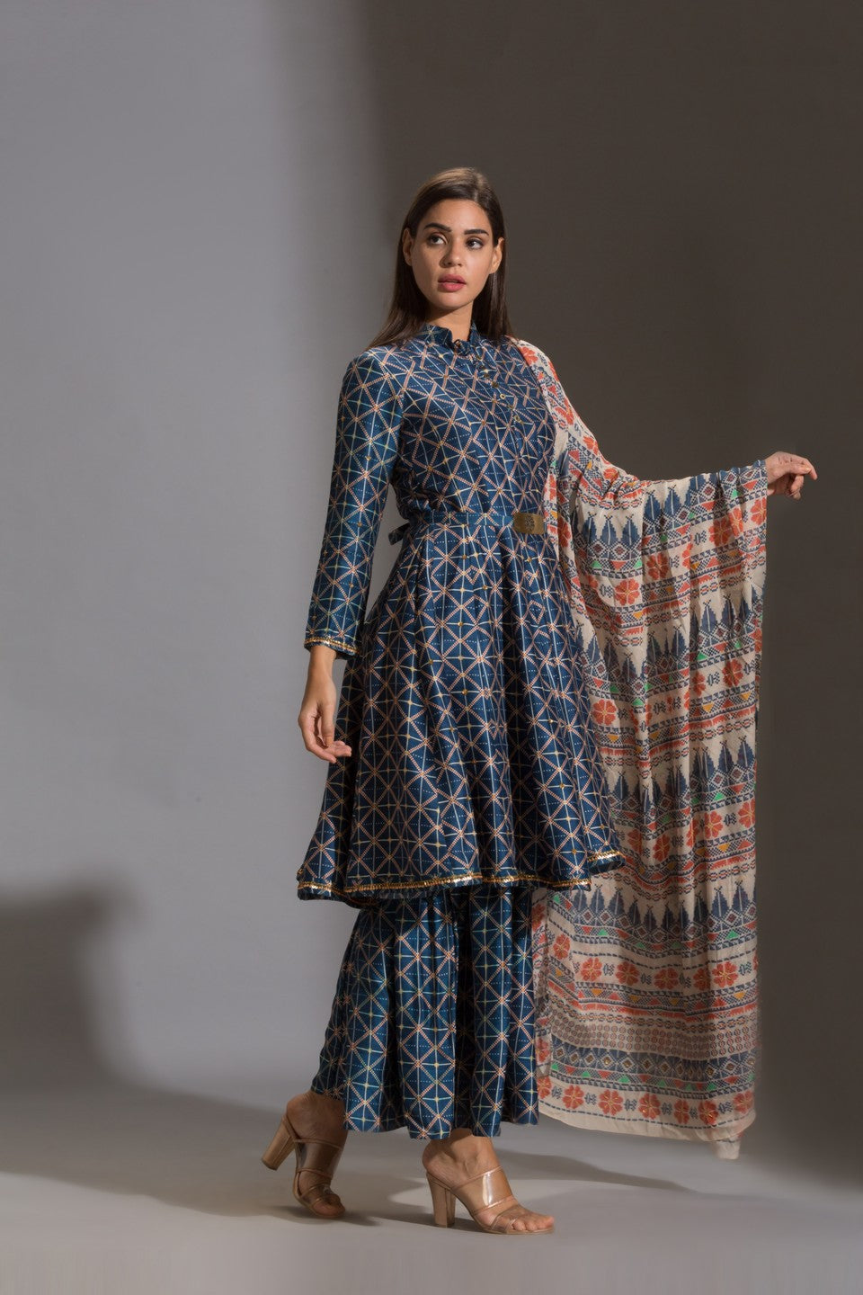Printed panel anarkali with printed sharara