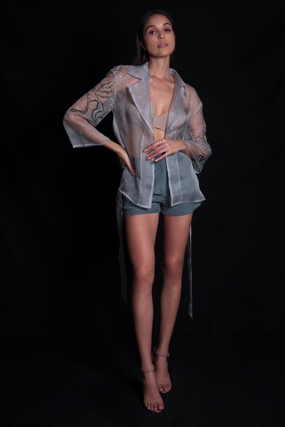 Lunar Rock Organza Embroidered Jacket