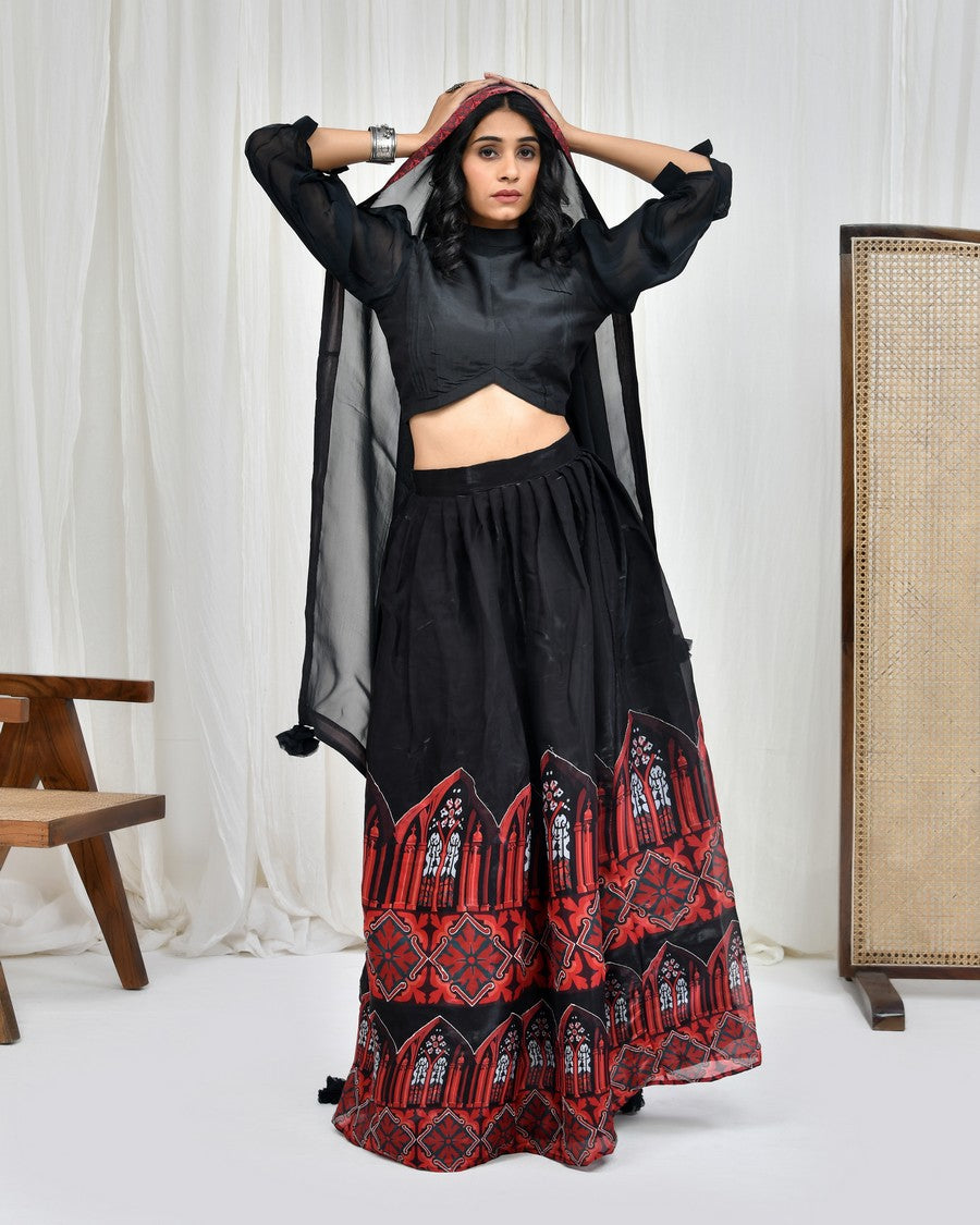 Stunning black colour digitally printed lehenga and blouse, paired with organza dupatta