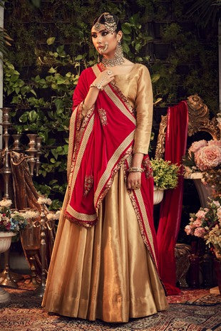 OXIDISED GOLD LENGHA SET WITH VELVET DUPATTA SHAWL