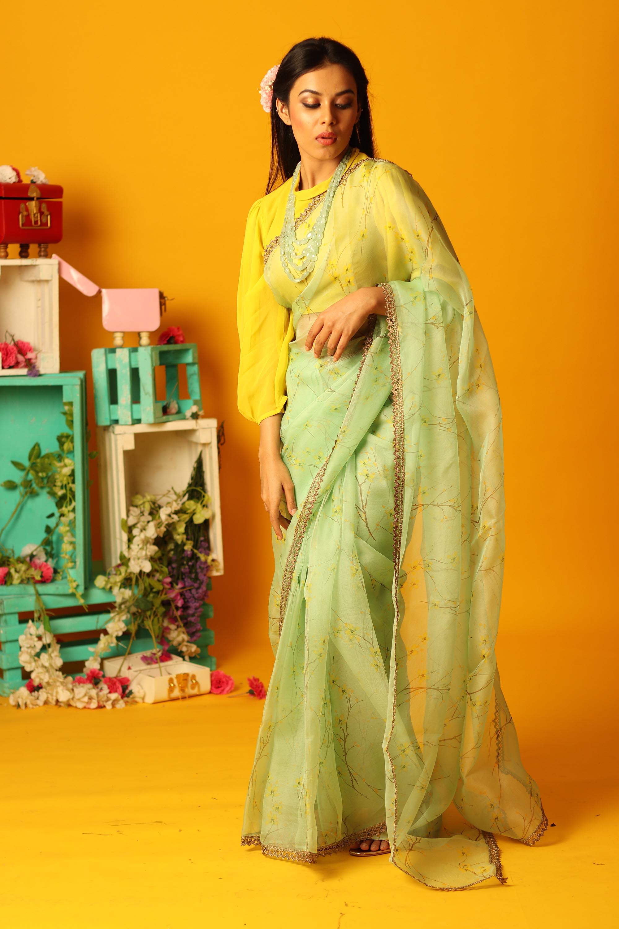 organza printed saree