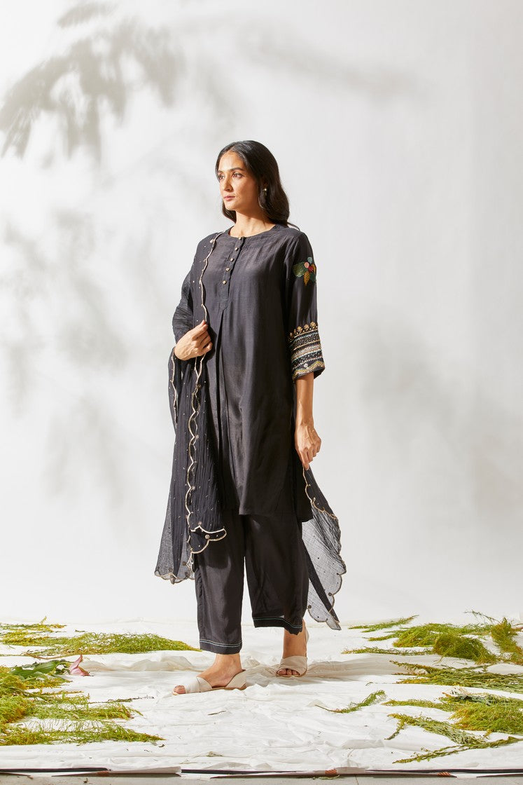 APPLIQUE SLEEVES KURTA SET