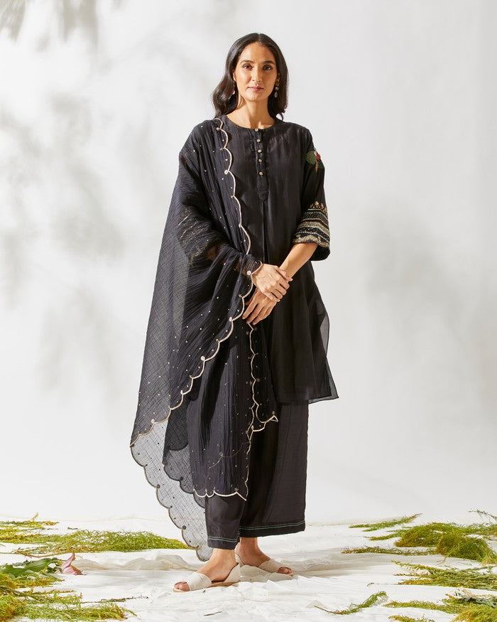 APPLIQUE SLEEVES KURTA SET