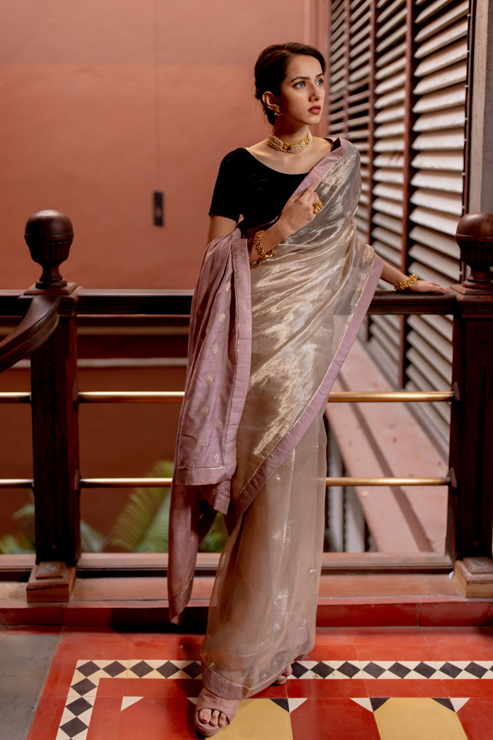 silver color tissue saree