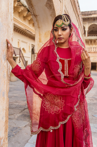 Anarkali with velvet blouse